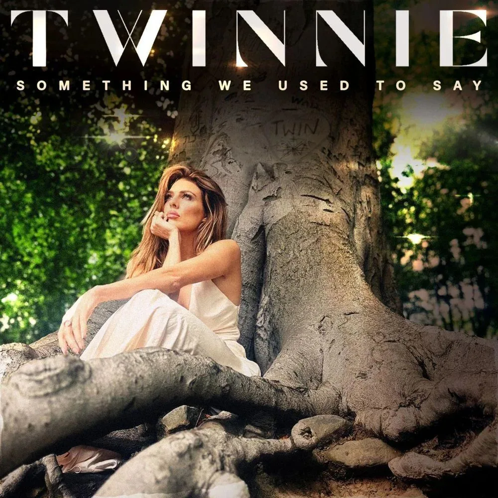 something we used to say album cover