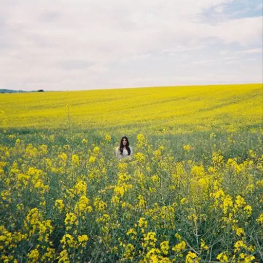 wildflower