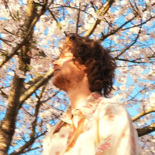 fruit from the trees