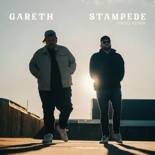 stampede (vavo remix)