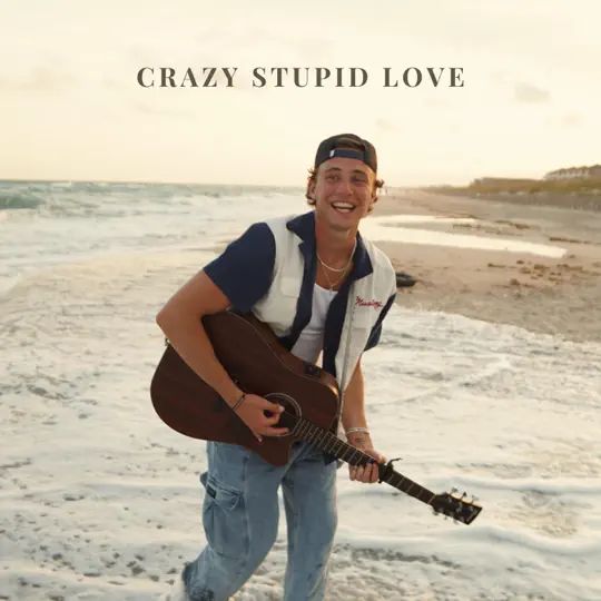 crazy stupid love