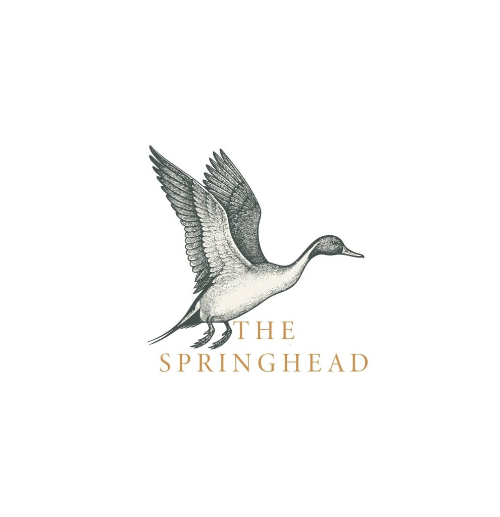 The Springhead, Dorset