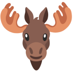 moose