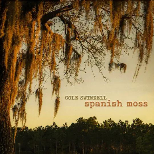 spanish moss