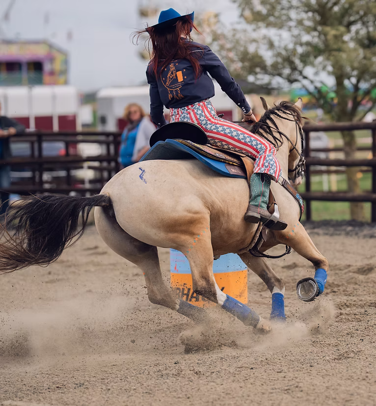 Rockin’ The Country Day - Horses - Lot's of Horses